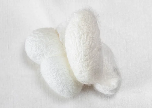 Few Organic Silkworm Cocoons Facial Skin Care White Silk Fabric — Stock Photo, Image