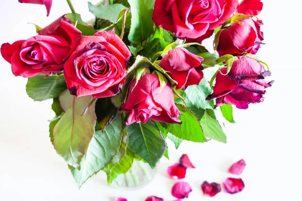 Bovenaanzicht Van Boeket Verwelkte Rode Roos Bloemen Glazen Vaas Gevallen — Stockfoto