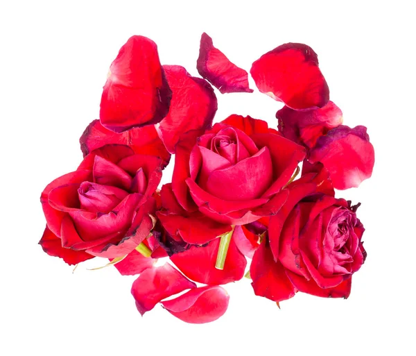 Top View Pile Fallen Petals Withered Blooms Red Rose Flowers — Stock Photo, Image