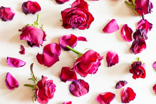 Bovenaanzicht Van Vele Gevallen Bloemblaadjes Bloemen Van Verwelkte Rode Tuin — Stockfoto