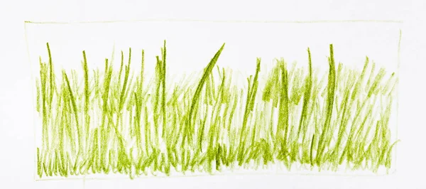 Тренировочный Эскиз Отбеленной Солнца Травы Нарисованный Карандашом Белой Бумаге — стоковое фото