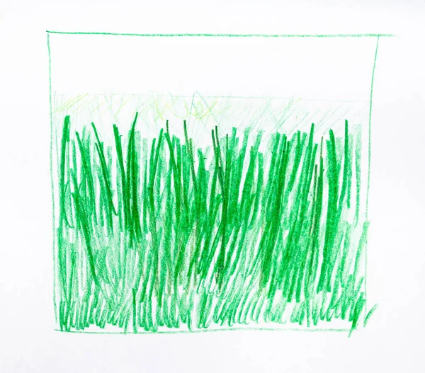 Croquis Entraînement Jeunes Herbes Vertes Dessinées Main Crayon Vert Sur — Photo