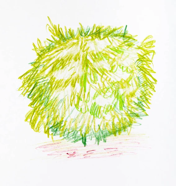 Schizzo Lussureggiante Fogliame Arbusto Primavera Disegnato Mano Matite Colore Carta — Foto Stock