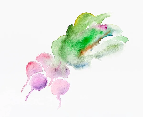 Δέσμη Ραπανάκια Φυλλώματα Ζωγραφισμένα Στο Χέρι Από Ακουαρέλες Λευκό Χαρτί — Φωτογραφία Αρχείου