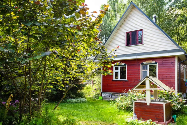 View Small Wooden Country House Well Backyard Russia Sunny Summer — Stock Photo, Image