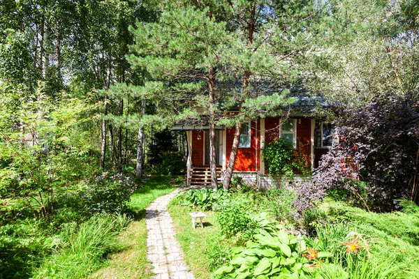 Drewniany Dom Wsi Zarośniętym Ogrodzie Ozdobnym Rosji Słoneczne Lato — Zdjęcie stockowe