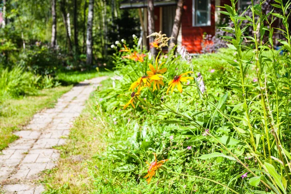 여름날 러시아의 장식용 정원에 화단과 오두막으로 — 스톡 사진