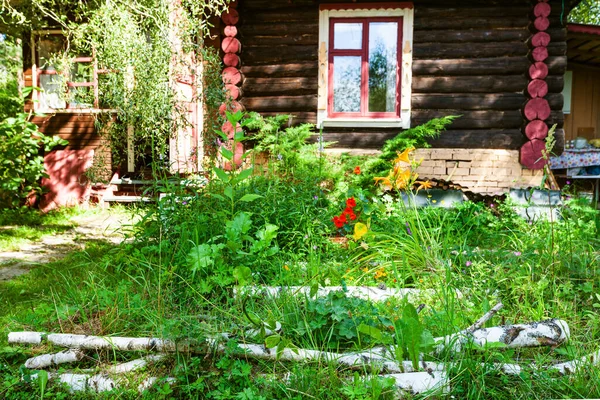 Birkenstämme Und Blumenbeet Vor Russischem Holzhaus Einem Sonnigen Sommertag — Stockfoto
