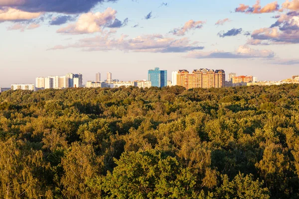 Zielony Las Miasto Horyzoncie Słoneczny Letni Wieczór — Zdjęcie stockowe