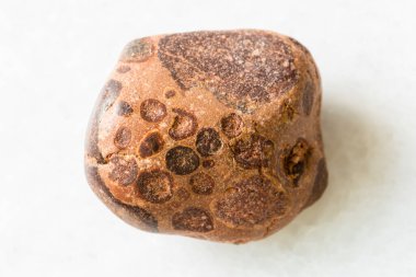 Jeolojik koleksiyondaki doğal mineral örneklerinin yakın çekimi - Kostanay bölgesi, Arkalyk, Kazakistan 'dan beyaz mermer zemin üzerine cilalanmış Bauxite kayası