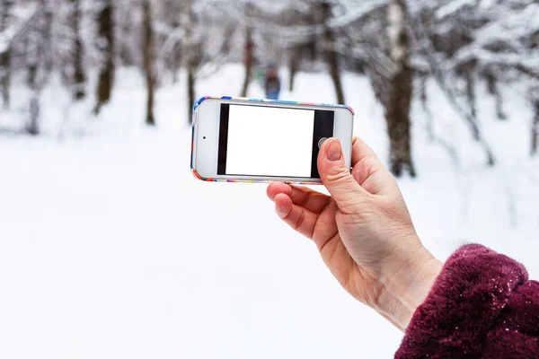 在雪地的森林里 女性的手拿着装有截断屏幕的智能手机 — 图库照片
