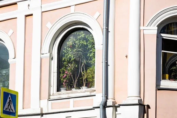 Moskauer Stadtbild Große Zimmerpflanzen Fenster Des Alten Stadthauses Sonnigen Tag — Stockfoto