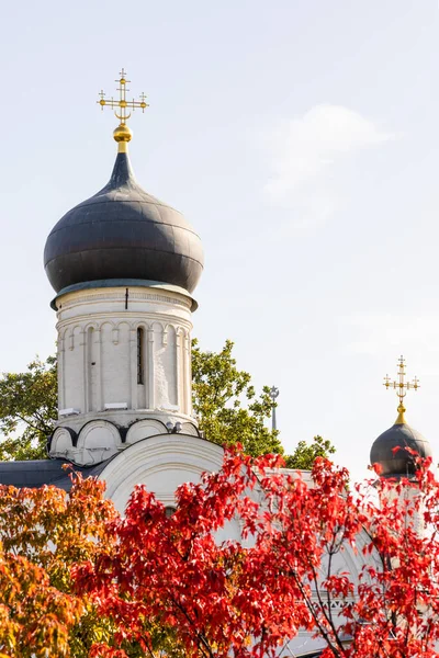 Купол Церкви Зачатия Святой Анны Китай Городском Районе Москвы Солнечный — стоковое фото
