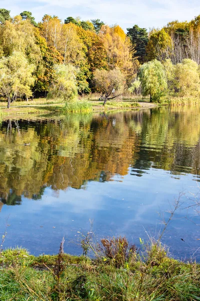 秋天阳光明媚的日子里 城市公园里多姿多彩的池塘岸边 — 图库照片