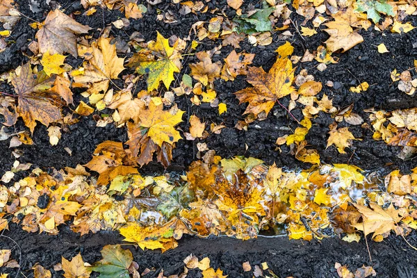 Vista Sopra Pozzanghera Profonda Carreggiata Strada Sporca Coperta Foglie Cadute — Foto Stock