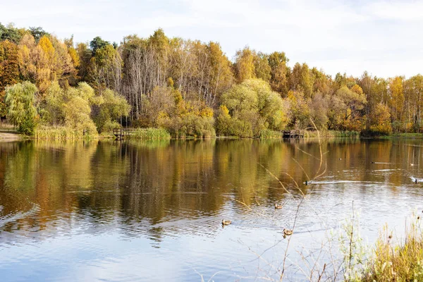秋の朝街の公園にはカラフルな木々や池があり — ストック写真
