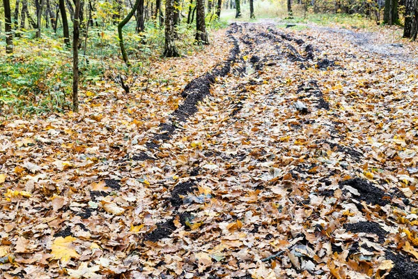 Country Road Ruts Covered Fallen Leaves City Park Autumn Day — Stock Photo, Image