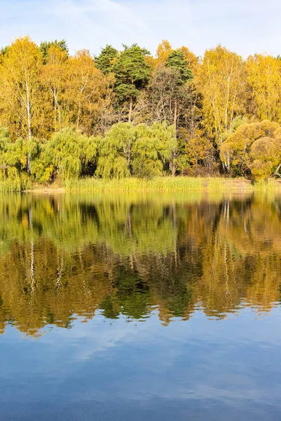 秋の晴れた日にシティパークの池のほとりにあるカラフルな木 — ストック写真