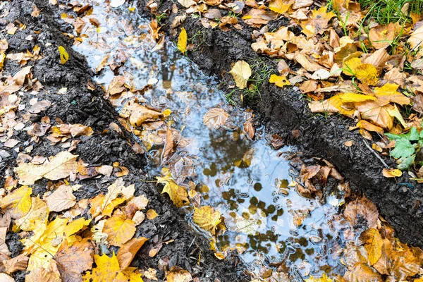 Kałuża Deszczowa Głębokim Rucie Wiejskiej Drodze Pokryta Opadłymi Liśćmi Parku — Zdjęcie stockowe