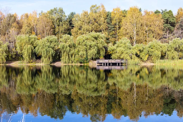 Güneşli Bir Sonbahar Gününde Şehir Parkındaki Göletin Kıyısında Sarı Ağaçlar — Stok fotoğraf