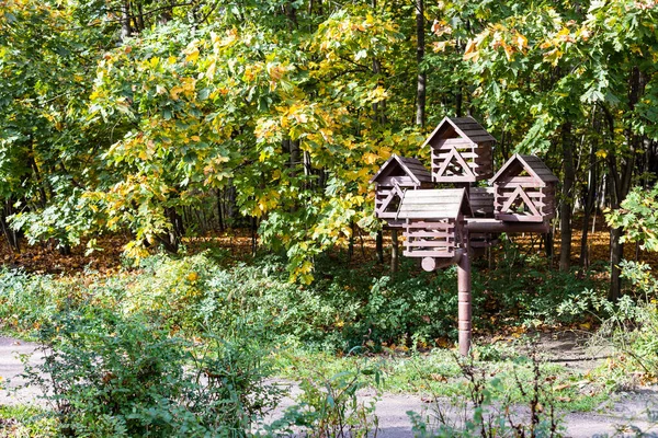 Wooden Bird Feeder City Park Sunny Autumn Day — Stock Photo, Image
