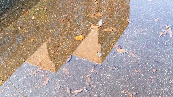 Regenpfütze Mit Abgefallenen Blättern Und Reflexion Eines Hochhauses Einem Sonnigen — Stockfoto