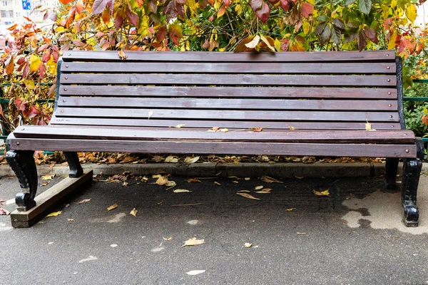 秋天里 莫斯科市大街上五彩缤纷的姑娘葡萄叶下的木制长椅 — 图库照片