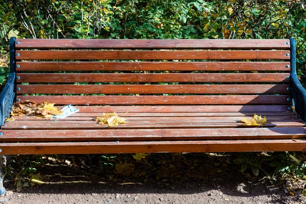 使用済み医療用フェイスマスクと黄色い紅葉のある木のベンチの正面図晴れた秋の日に市公園に — ストック写真