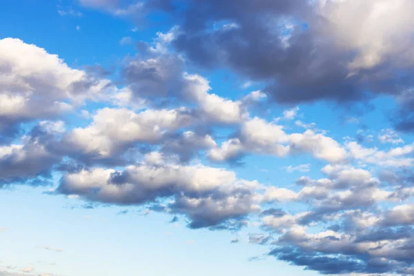 front of gray and white low clouds in blue autumn afternoon sky