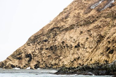 Pasifik Okyanusu 'nun Avacha koyundaki sahil şeridi ilkbahar günü Petropavlovsk-Kamçatsky şehri, Kamçatka Krai, Rusya