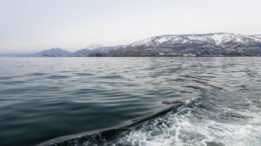 Pasifik Okyanusu 'ndaki Petropavlovsk-Kamçatsky şehri yakınlarındaki Avacha koyunda bahar günü, Kamçatka Krai, Rusya