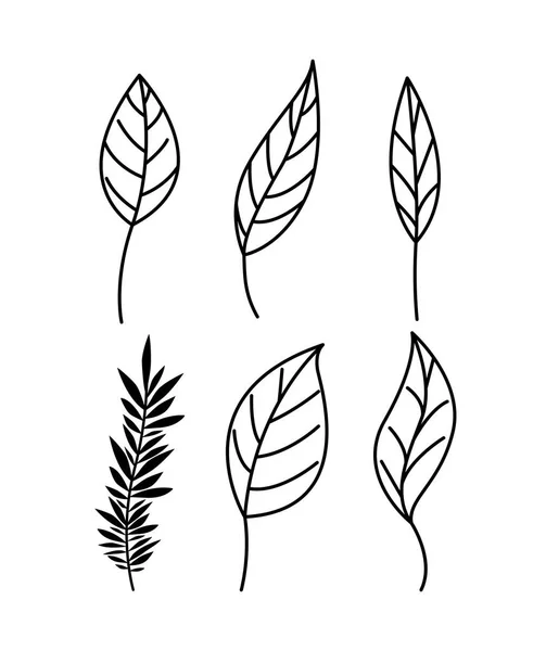Tak met bladeren decoratieve pictogrammen — Stockvector