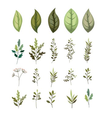 Şube ile Dekoratif simgeler yapraklar