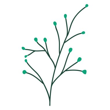 tohum doğal simgesi olan şube