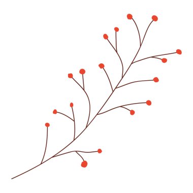 tohum doğal simgesi olan şube