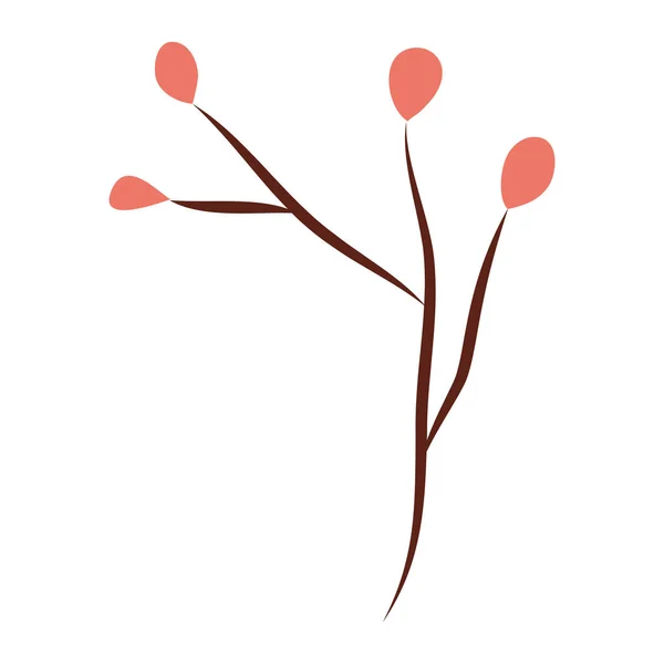 Branche avec graines icône naturelle — Image vectorielle