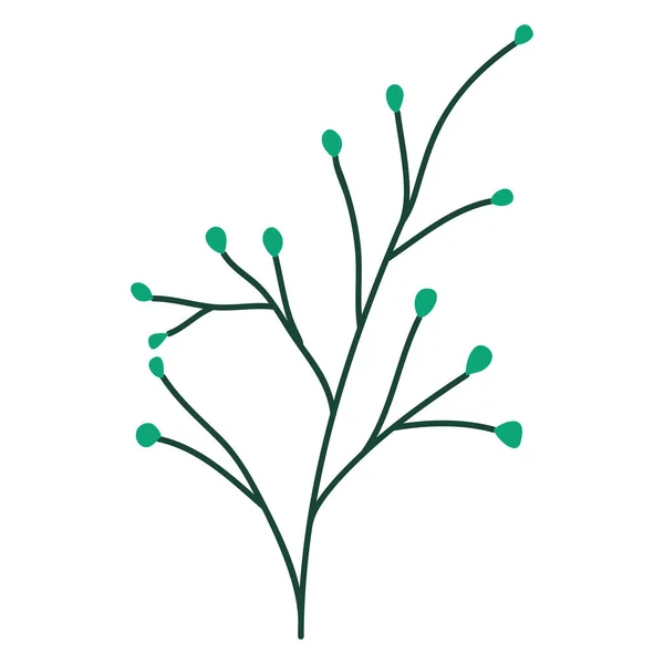 Branche avec graines icône naturelle — Image vectorielle