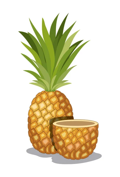 Verse ananas fruit tropische — Stockvector