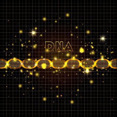 DNA molekülü üzerinde altın çizgi deseni