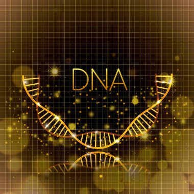 DNA molekülü yarım daire altın yapısı