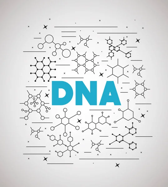 Dna molecule structure set — Stock Vector