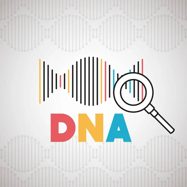 Dna molecule with magnifying glass — Stock Vector