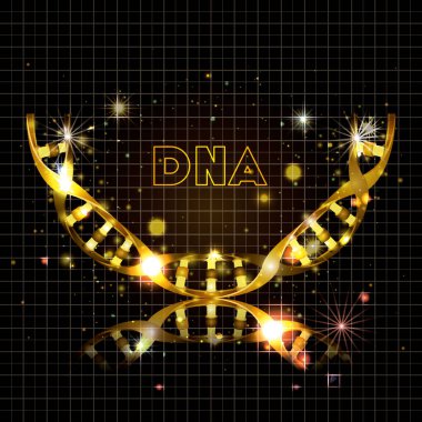 DNA molekülü yarım daire altın yapısı