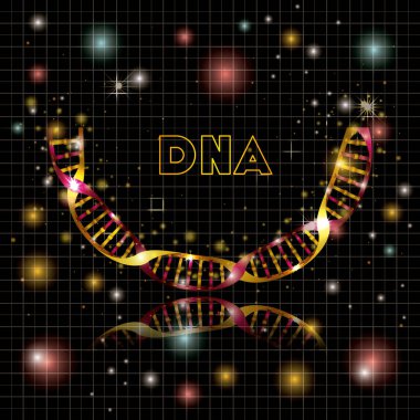 DNA molekülü yarım daire altın yapısı
