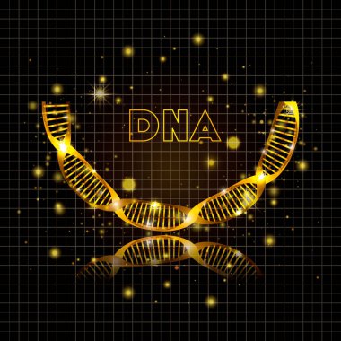 DNA molekülü yarım daire altın yapısı
