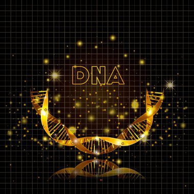 DNA molekülü yarım daire altın yapısı