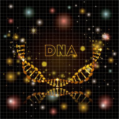 DNA molekülü yarım daire altın yapısı
