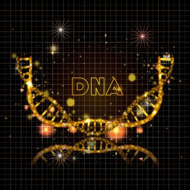 DNA molekülü yarım daire altın yapısı