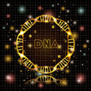 DNA molekülü dairesel altın yapısı