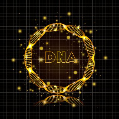 DNA molekülü dairesel altın yapısı